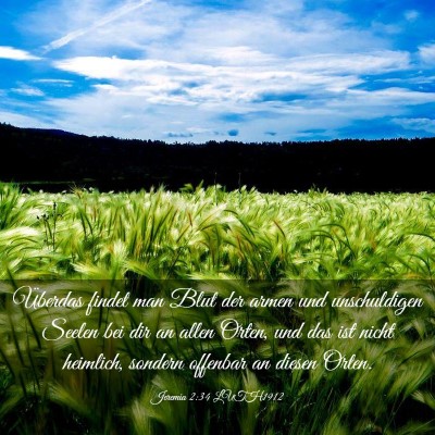Picture 03 - Jeremia 2:34 LUTH1912 - Überdas findet man Blut der armen und - Bible Verse Picture