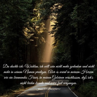 Picture 03 - Jeremia 20:9 LUTH1912 - Da dachte ich: Wohlan, ich will sein nicht mehr - Bible Verse Picture