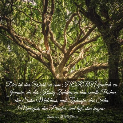 Picture 03 - Jeremia 21:1 LUTH1912 - Dies ist das Wort, so vom HERRN geschah zu - Bible Verse Picture