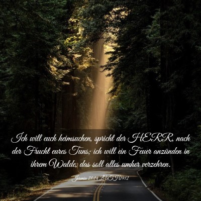 Picture 03 - Jeremia 21:14 LUTH1912 - Ich will euch heimsuchen, spricht der HERR, nach - Bible Verse Picture
