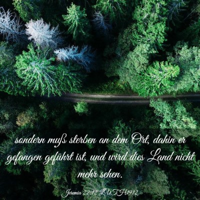 Picture 03 - Jeremia 22:12 LUTH1912 - sondern muß sterben an dem Ort, dahin er - Bible Verse Picture