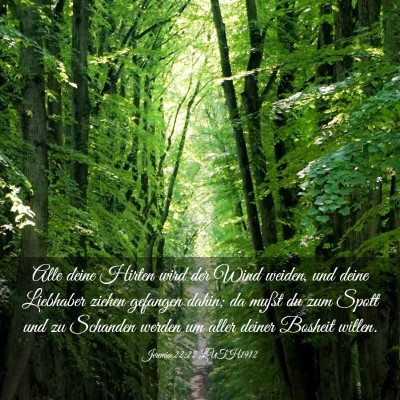 Picture 03 - Jeremia 22:22 LUTH1912 - Alle deine Hirten wird der Wind weiden, und deine - Bible Verse Picture