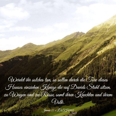 Picture 03 - Jeremia 22:4 LUTH1912 - Werdet ihr solches tun, so sollen durch die Tore - Bible Verse Picture