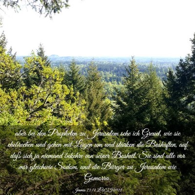 Picture 03 - Jeremia 23:14 LUTH1912 - aber bei den Propheten zu Jerusalem sehe ich - Bible Verse Picture