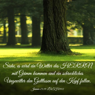 Picture 03 - Jeremia 23:19 LUTH1912 - Siehe, es wird ein Wetter des HERRN mit Grimm - Bible Verse Picture