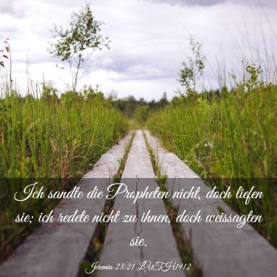 Picture 03 - Jeremia 23:21 LUTH1912 - Ich sandte die Propheten nicht, doch liefen sie; - Bible Verse Picture