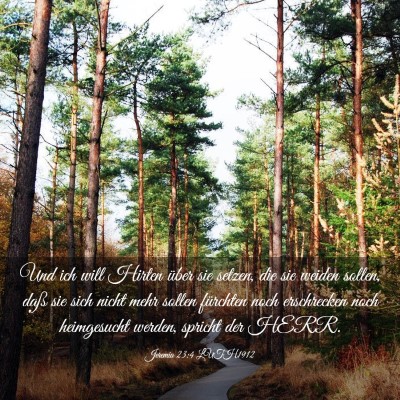 Picture 03 - Jeremia 23:4 LUTH1912 - Und ich will Hirten über sie setzen, die sie - Bible Verse Picture