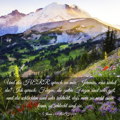Picture 03 - Jeremia 24:3 LUTH1912 - Und der HERR sprach zu mir: Jeremia, was siehst - Bible Verse Picture