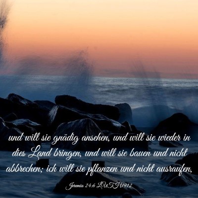 Picture 03 - Jeremia 24:6 LUTH1912 - und will sie gnädig ansehen, und will sie wieder - Bible Verse Picture