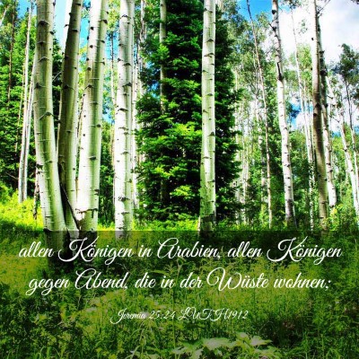 Picture 03 - Jeremia 25:24 LUTH1912 - allen Königen in Arabien, allen Königen gegen - Bible Verse Picture