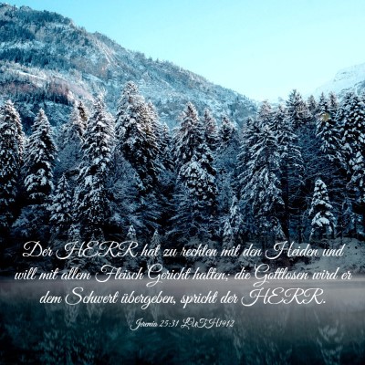 Picture 03 - Jeremia 25:31 LUTH1912 - Der HERR hat zu rechten mit den Heiden und will - Bible Verse Picture
