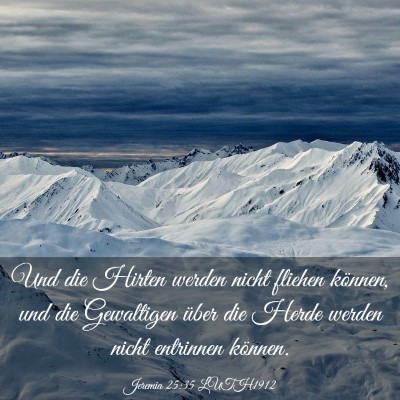 Picture 03 - Jeremia 25:35 LUTH1912 - Und die Hirten werden nicht fliehen können, und - Bible Verse Picture