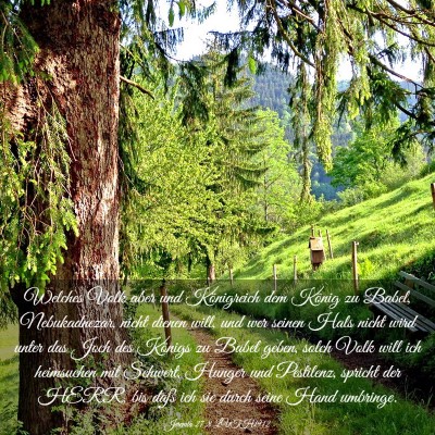 Picture 03 - Jeremia 27:8 LUTH1912 - Welches Volk aber und Königreich dem König zu - Bible Verse Picture