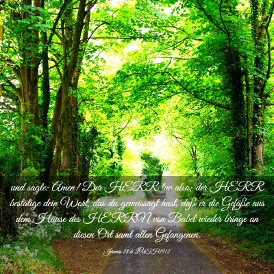 Picture 03 - Jeremia 28:6 LUTH1912 - und sagte: Amen! Der HERR tue also; der HERR - Bible Verse Picture
