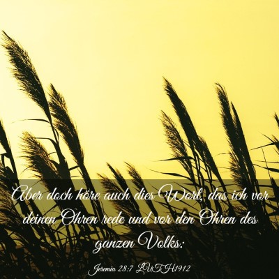Picture 03 - Jeremia 28:7 LUTH1912 - Aber doch höre auch dies Wort, das ich vor - Bible Verse Picture