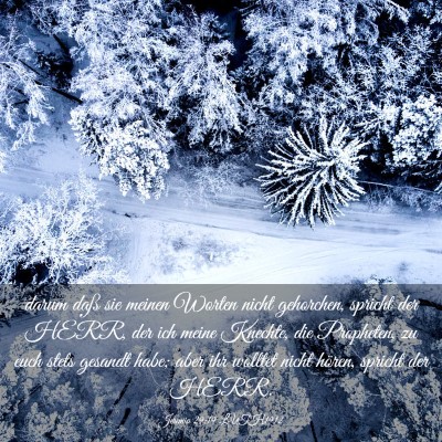 Picture 03 - Jeremia 29:19 LUTH1912 - darum daß sie meinen Worten nicht gehorchen, - Bible Verse Picture