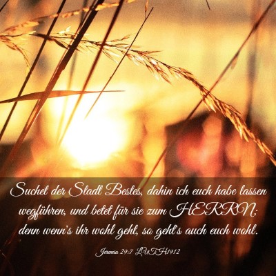 Picture 03 - Jeremia 29:7 LUTH1912 - Suchet der Stadt Bestes, dahin ich euch habe - Bible Verse Picture