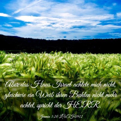 Picture 03 - Jeremia 3:20 LUTH1912 - Aber das Haus Israel achtete mich nicht, - Bible Verse Picture