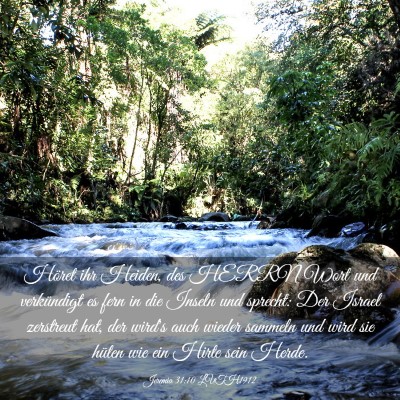 Picture 03 - Jeremia 31:10 LUTH1912 - Höret ihr Heiden, des HERRN Wort und verkündigt - Bible Verse Picture