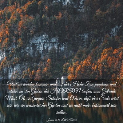 Picture 03 - Jeremia 31:12 LUTH1912 - Und sie werden kommen und auf der Höhe Zion - Bible Verse Picture