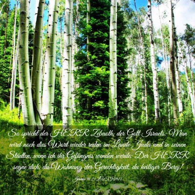 Picture 03 - Jeremia 31:23 LUTH1912 - So spricht der HERR Zebaoth, der Gott Israels: - Bible Verse Picture