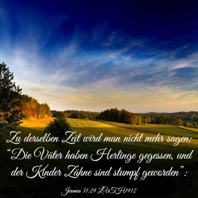 Picture 03 - Jeremia 31:29 LUTH1912 - Zu derselben Zeit wird man nicht mehr sagen: - Bible Verse Picture