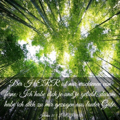 Picture 03 - Jeremia 31:3 LUTH1912 - Der HERR ist mir erschienen von ferne: Ich habe - Bible Verse Picture