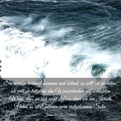 Picture 03 - Jeremia 31:9 LUTH1912 - Sie werden weinend kommen und betend, so will ich - Bible Verse Picture