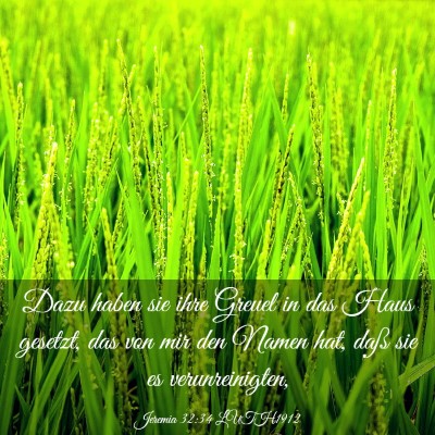 Picture 03 - Jeremia 32:34 LUTH1912 - Dazu haben sie ihre Greuel in das Haus gesetzt, - Bible Verse Picture