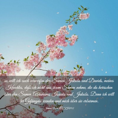 Picture 03 - Jeremia 33:26 LUTH1912 - so will ich auch verwerfen den Samen Jakobs und - Bible Verse Picture