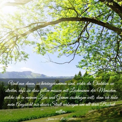 Picture 03 - Jeremia 33:5 LUTH1912 - Und von denen, so hereingekommen sind, wider die - Bible Verse Picture