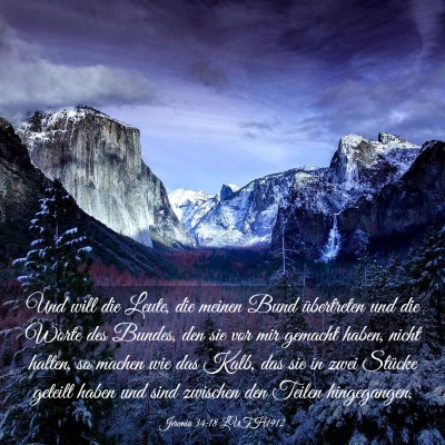 Picture 03 - Jeremia 34:18 LUTH1912 - Und will die Leute, die meinen Bund übertreten - Bible Verse Picture