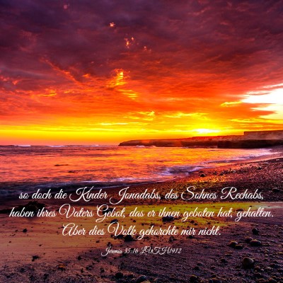 Picture 03 - Jeremia 35:16 LUTH1912 - so doch die Kinder Jonadabs, des Sohnes Rechabs, - Bible Verse Picture