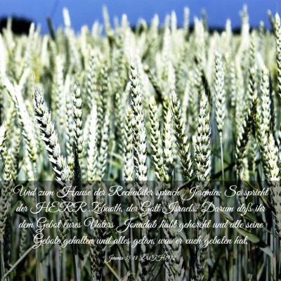 Picture 03 - Jeremia 35:18 LUTH1912 - Und zum Hause der Rechabiter sprach Jeremia: So - Bible Verse Picture