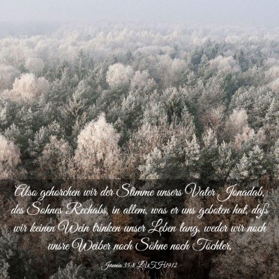 Picture 03 - Jeremia 35:8 LUTH1912 - Also gehorchen wir der Stimme unsers Vater - Bible Verse Picture