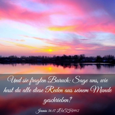 Picture 03 - Jeremia 36:17 LUTH1912 - Und sie fragten Baruch: Sage uns, wie hast du - Bible Verse Picture