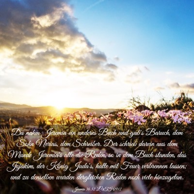 Picture 03 - Jeremia 36:32 LUTH1912 - Da nahm Jeremia ein anderes Buch und gab's - Bible Verse Picture