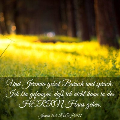 Picture 03 - Jeremia 36:5 LUTH1912 - Und Jeremia gebot Baruch und sprach: Ich bin - Bible Verse Picture