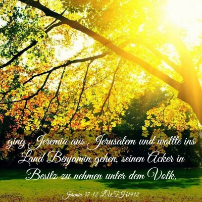 Picture 03 - Jeremia 37:12 LUTH1912 - ging Jeremia aus Jerusalem und wollte ins Land - Bible Verse Picture