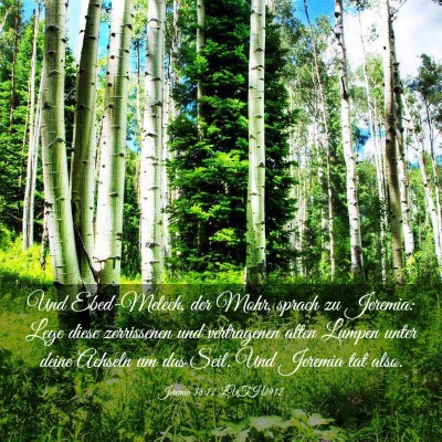 Picture 03 - Jeremia 38:12 LUTH1912 - Und Ebed-Melech, der Mohr, sprach zu Jeremia: - Bible Verse Picture
