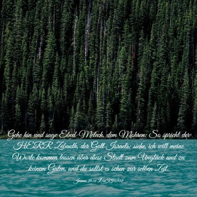 Picture 03 - Jeremia 39:16 LUTH1912 - Gehe hin und sage Ebed-Melech, dem Mohren: So - Bible Verse Picture