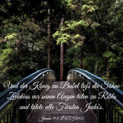 Picture 03 - Jeremia 39:6 LUTH1912 - Und der König zu Babel ließ die Söhne Zedekias - Bible Verse Picture