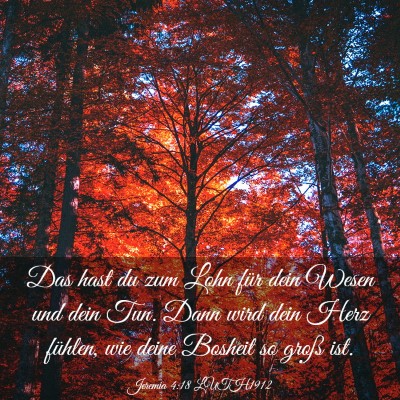 Picture 03 - Jeremia 4:18 LUTH1912 - Das hast du zum Lohn für dein Wesen und dein - Bible Verse Picture