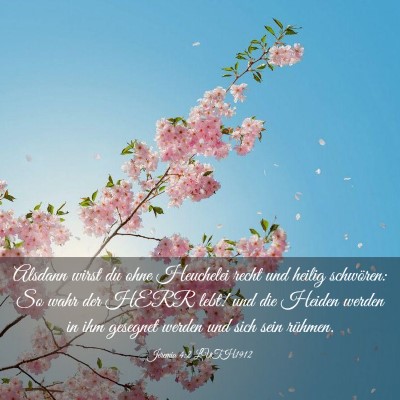 Picture 03 - Jeremia 4:2 LUTH1912 - Alsdann wirst du ohne Heuchelei recht und heilig - Bible Verse Picture