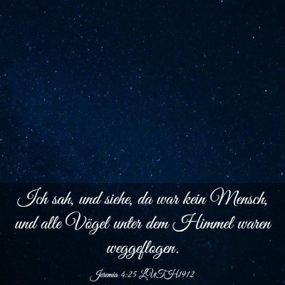 Picture 03 - Jeremia 4:25 LUTH1912 - Ich sah, und siehe, da war kein Mensch, und alle - Bible Verse Picture