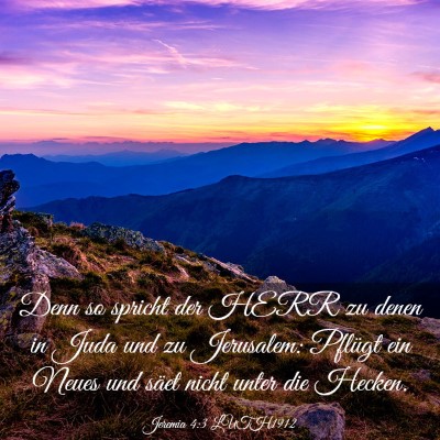 Picture 03 - Jeremia 4:3 LUTH1912 - Denn so spricht der HERR zu denen in Juda und zu - Bible Verse Picture