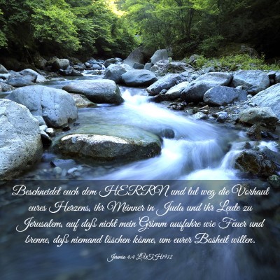 Picture 03 - Jeremia 4:4 LUTH1912 - Beschneidet euch dem HERRN und tut weg die - Bible Verse Picture