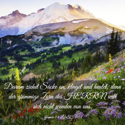Picture 03 - Jeremia 4:8 LUTH1912 - Darum ziehet Säcke an, klaget und heulet; denn - Bible Verse Picture