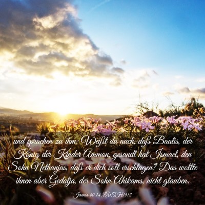 Picture 03 - Jeremia 40:14 LUTH1912 - und sprachen zu ihm: Weißt du auch, daß Baalis, - Bible Verse Picture