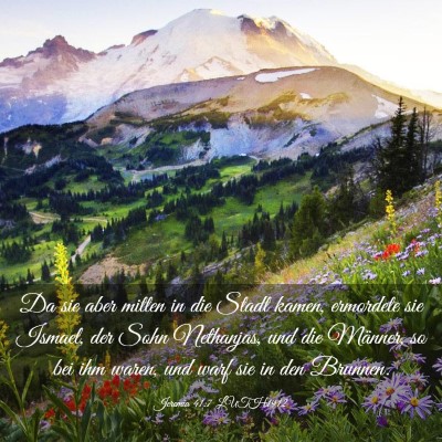 Picture 03 - Jeremia 41:7 LUTH1912 - Da sie aber mitten in die Stadt kamen, ermordete - Bible Verse Picture